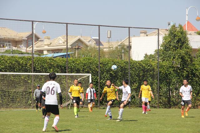 杨瀚森22+11青岛胜辽宁 王哲林13分上海胜江苏